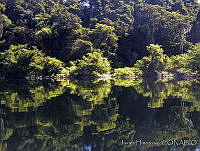 JHC0113 Metzabok, Chiapas.jpg