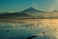 RPQ002 Nopalucan, Puebla.jpg