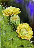 AR0008 Opuntia streptacantha.jpg