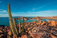 IDG Nat 0050 Isla Navidad.jpg