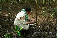 FN005 5 193 Parámetros fisícoquiímicos.jpg