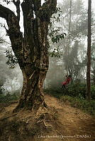 CHH01 Chiapas, México.jpg
