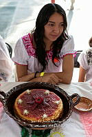 IMDOC 4728 Zea mays y Cylindropuntia imbricata.jpg