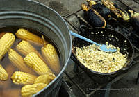 EHX0155 Zea mays.JPG