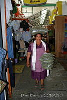 DK0793 Orégano Seco.jpg