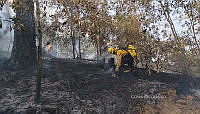XE006 007 Incencio forestal Nevado de Toluca.jpg