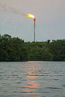 FBA0566 Tabasco, México.jpg