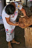 CD0307 Melipona sp..jpg