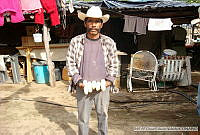 OPV_Zea mays 0140.jpg