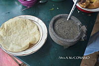 ZG009 122 Apis mellifera.jpg