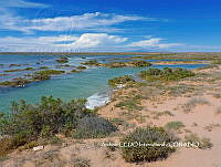 NBA0103 Puerto Peñasco, Sonora.JPG
