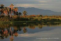 FRSR01 El Carrizal, Guerrero.jpg