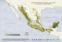 carbono nacional A.pdf