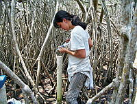 MCMG012 Veracruz, Veracruz.jpg