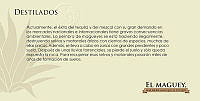 21d  MAGUEY3 copia.JPG