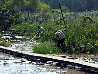 JVB0047 La Mancha, Veracruz.jpg