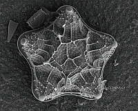 1. YJMH_ 20 x 24 pulgadas.jpg