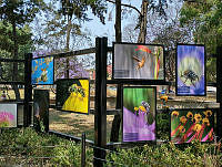 Exposición zoológicos 6 Exposición en los zoológicos.jpg