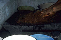 DK1263 Apazapán, Veracruz.jpg