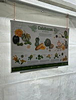 IMG-20240711-WA0030.jpg