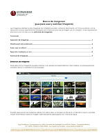 guia-usuario-BDI 2025.pdf