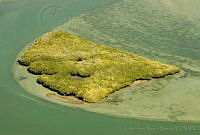 CNS0089 Bahía Magdalena, Baja California Sur.jpg