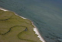 CNS0476 Laguna San Ignacio, Baja California Sur.jpg
