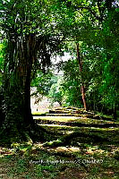 ME008 0086 Localidad Bonampak, Chiapas.jpg