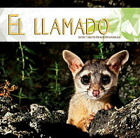 CD el Llamado.pdf