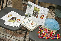 MASM07227 Yucatán, México.jpg