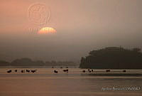 AB03 Progreso, Yucatán.JPG