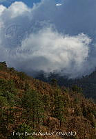 FBA1488 Paisaje en Oaxaca.jpg