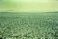 1433 Samalayuca, Chihuahua.jpg