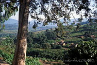 DK2392 Zitácuaro, Michoacán.jpg