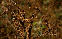 FBA1210 Santa María Huatulco_24.jpg