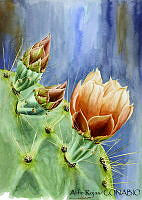 AR0007 Opuntia engelmanii.jpg