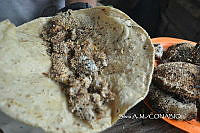 ZG009 119 Apis mellifera.jpg