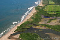 SVS003 Tomatlán, Jalisco.jpg