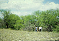 FGM2391 Matehuala, San Luis Potosí.JPG