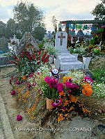 CM 0091 Ofrenda.jpg
