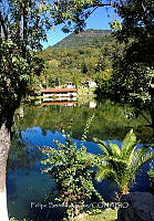 FBA1091 Laguna encantada Guelatao.jpg