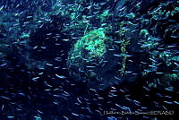 HBB0066 Chetumal, Quintana Roo.jpg