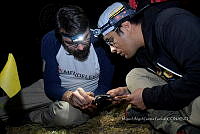 WI005 0068 Tliltocatl schroederi.jpg