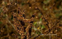 FBA1210 Santa María Huatulco_24.jpg