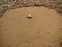 GECI0105 Ensenada, Baja California.jpg