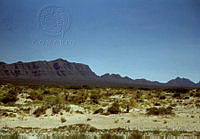 EHX0382 Chihuahua, México.JPG