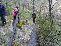 CTEFQ015061 Arteaga, Coahuila.jpg