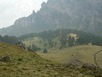 MGvarios25 Parque Nacional Iztaccíhuatl-Popocatépetl, Estado de México.jpg