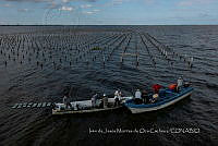 IMDOC4135 Panorámicas de INAPESCA.jpg