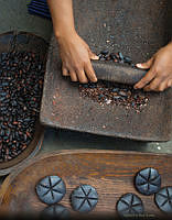 06 cacao_u.jpg